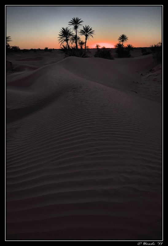 Sahara Sunset.jpg